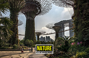 Nature as a Design Resource