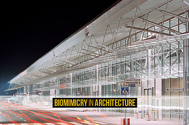 Biomimicry in architecture