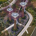 Biomimicry in architecture-Sheet13