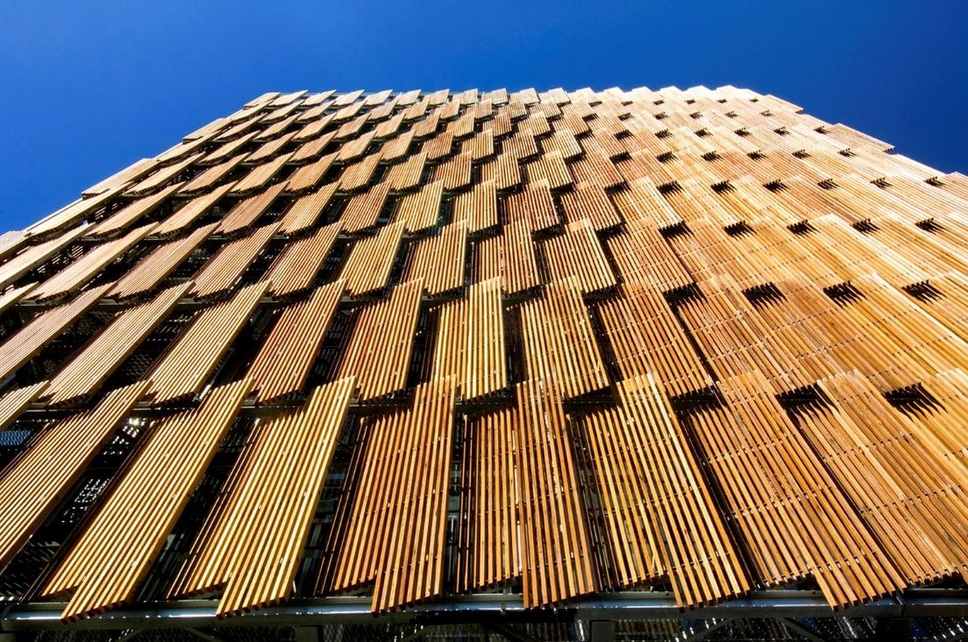 Biomimicry in architecture-Sheet4