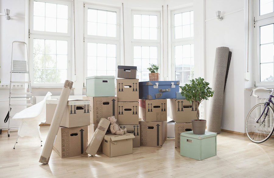 Moving Day Essentials: How Top Movers Keep Things Running Smoothly!