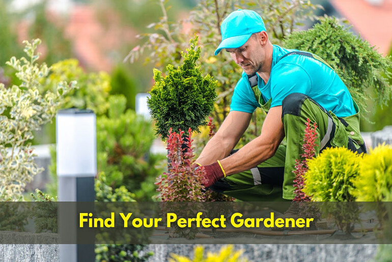 Find Your Perfect Gardener