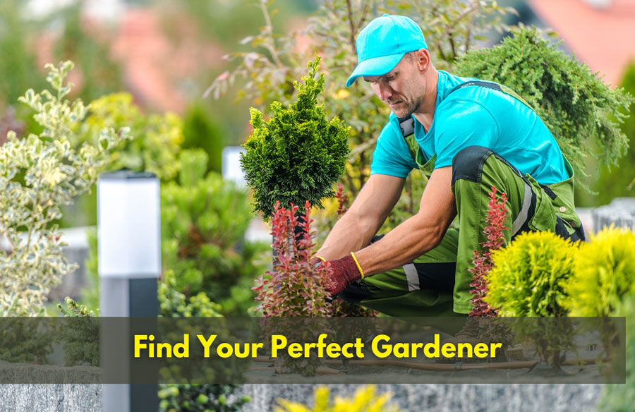 Find Your Perfect Gardener