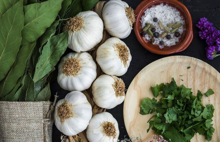 Softneck Garlic Bulbs: Its Varieties and a Special Italian Recipe