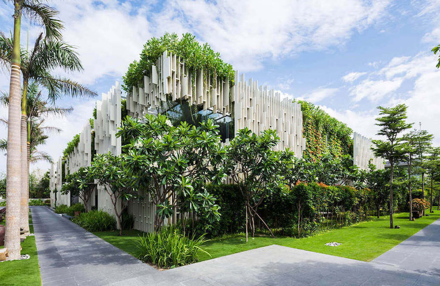 Biophilic Design: Elevating Vertical Gardens in Urban Landscapes