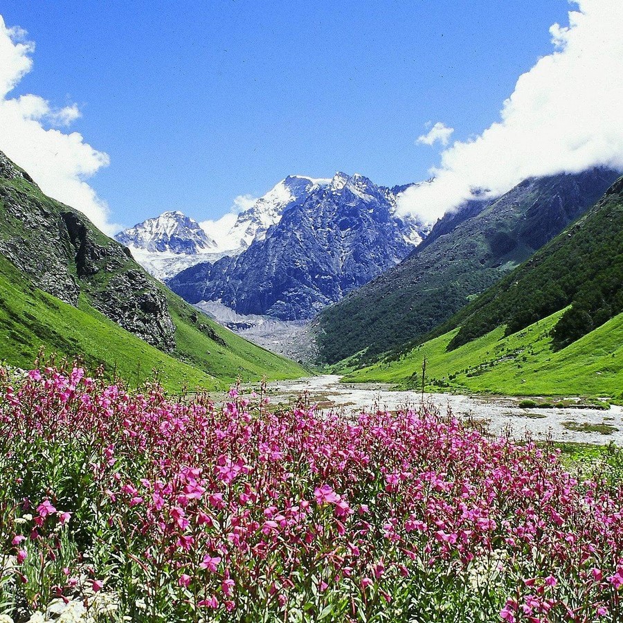 UNESCO World Heritage Sites: Nanda Devi and Valley of Flowers National Parks-Sheet1