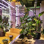 Lynk & Co Club Madrid by Masquespacio-Sheet2