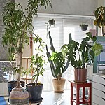 Tokyo Blue Apartment by Roovice-Sheet6