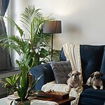 Private Residence 02 2023 by Madras Spaces-Sheet7