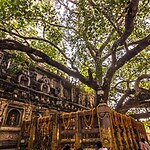 UNESCO World Heritage Sites: Mahabodhi Temple Complex at Bodh Gaya-Sheet3