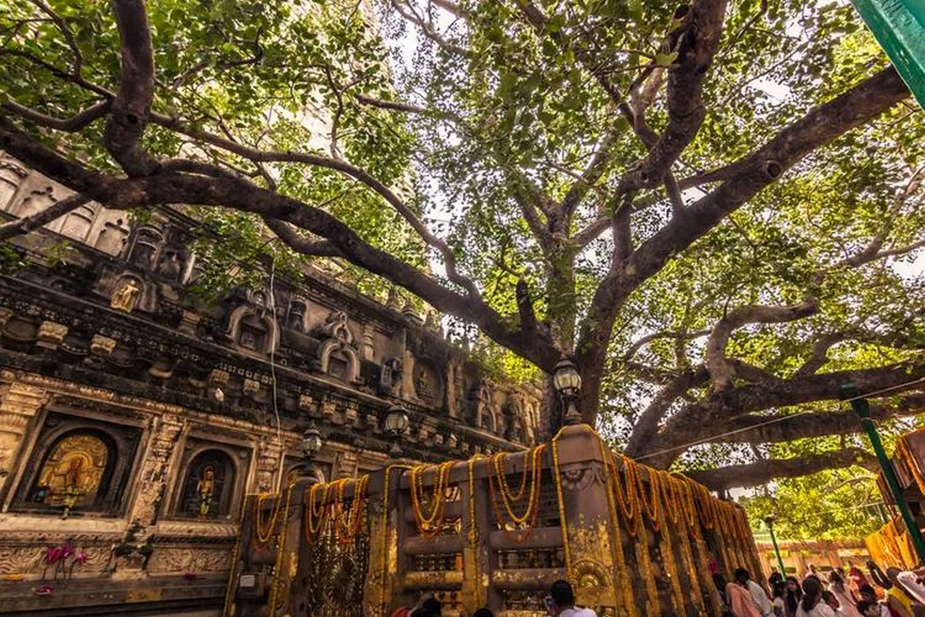 UNESCO World Heritage Sites: Mahabodhi Temple Complex at Bodh Gaya-Sheet3