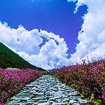 UNESCO World Heritage Sites: Nanda Devi and Valley of Flowers National Parks-Sheet5