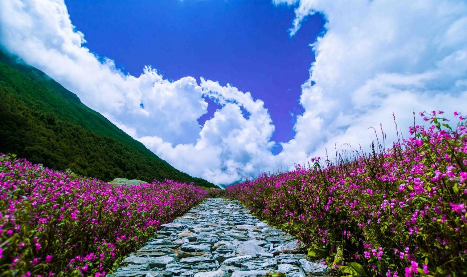 UNESCO World Heritage Sites: Nanda Devi and Valley of Flowers National Parks-Sheet5