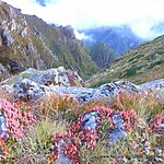 UNESCO World Heritage Sites: Nanda Devi and Valley of Flowers National Parks-Sheet6