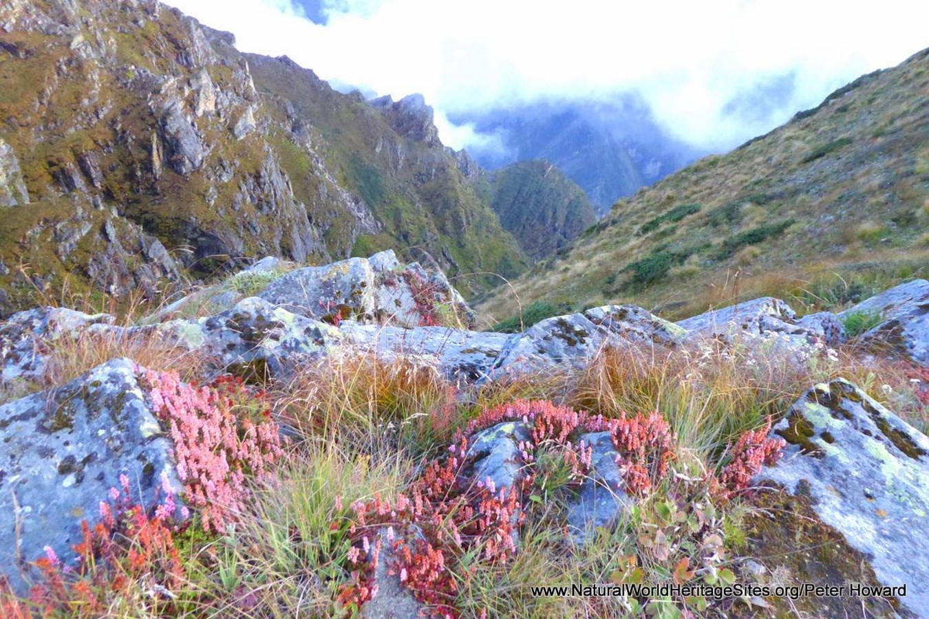 UNESCO World Heritage Sites: Nanda Devi and Valley of Flowers National Parks-Sheet6