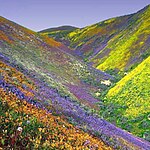UNESCO World Heritage Sites: Nanda Devi and Valley of Flowers National Parks-Sheet7