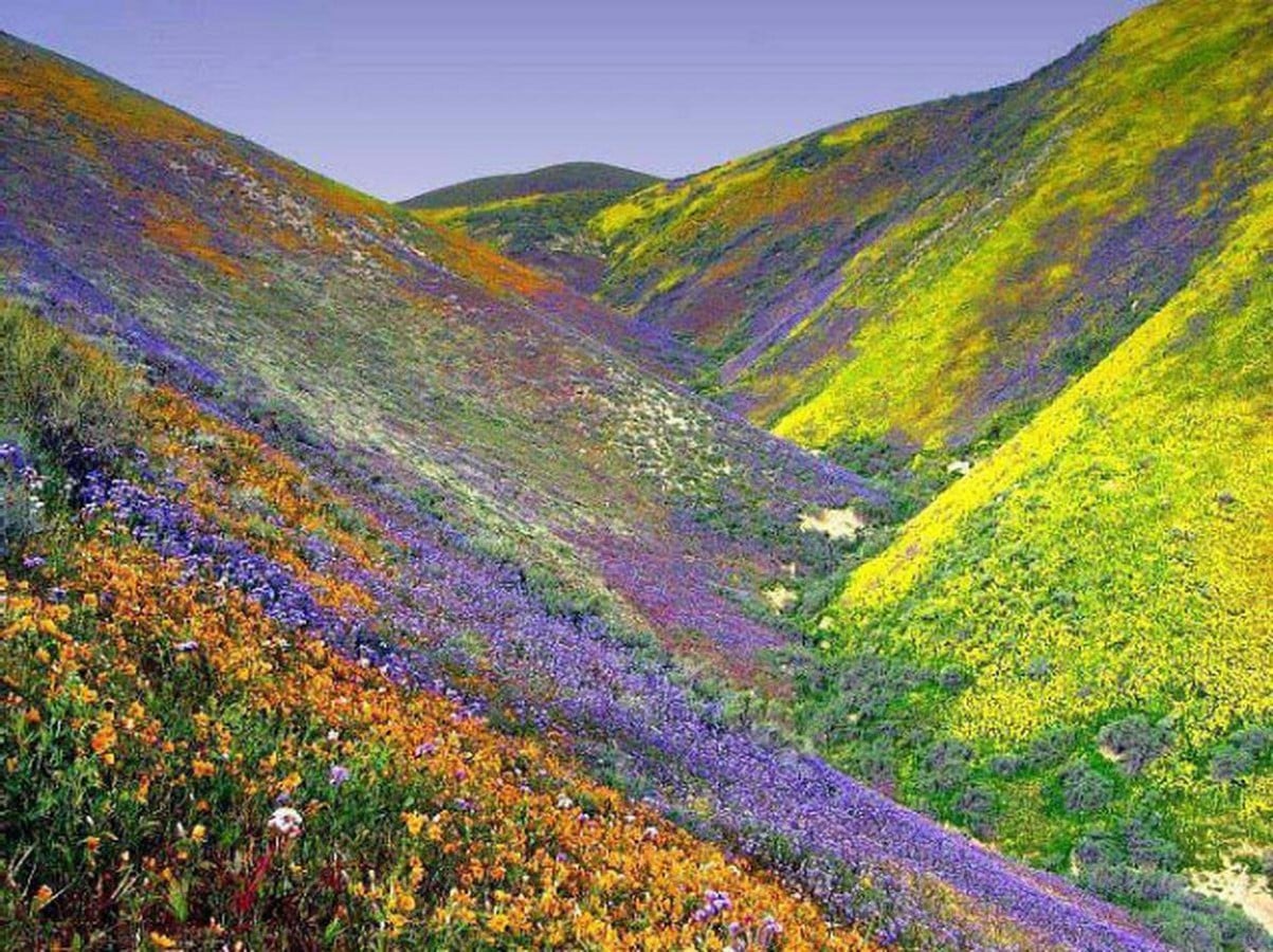 UNESCO World Heritage Sites: Nanda Devi and Valley of Flowers National Parks-Sheet7