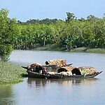 UNESCO World Heritage Sites Sundarbans National Park-Sheet1