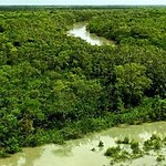 UNESCO World Heritage Sites Sundarbans National Park-Sheet3