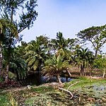 UNESCO World Heritage Sites Sundarbans National Park-Sheet4