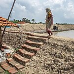 UNESCO World Heritage Sites Sundarbans National Park-Sheet5
