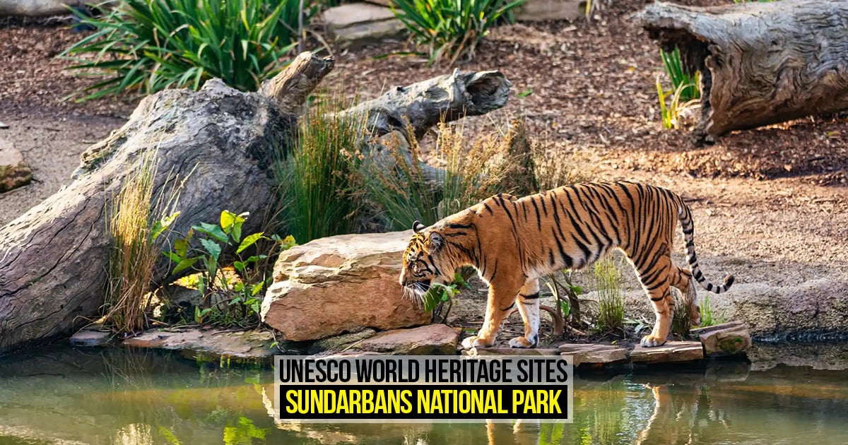 UNESCO World Heritage Sites: Sundarbans National Park - RTF ...