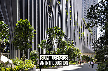 Biophilic Basics: An Introduction