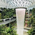 Biophilic Basics An Introduction-Sheet1