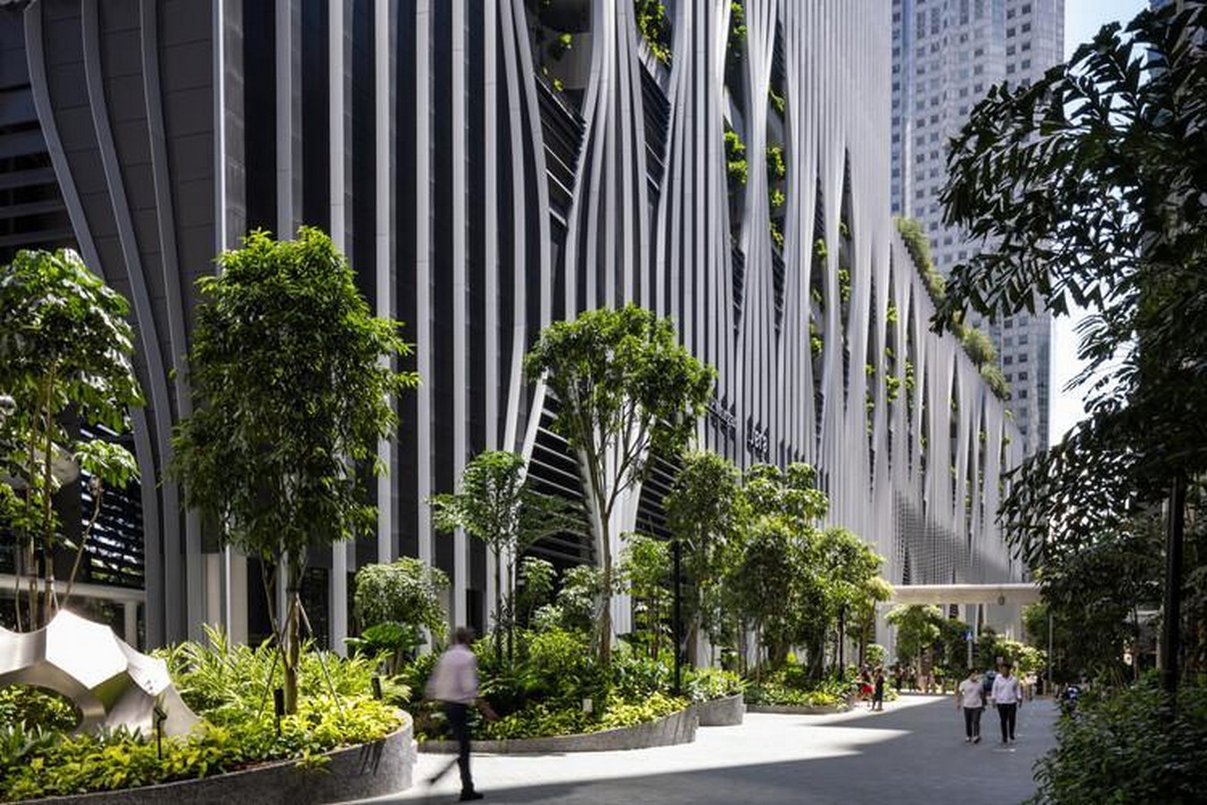 Biophilic Basics An Introduction-Sheet4
