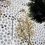 Biophilic Basics An Introduction-Sheet5