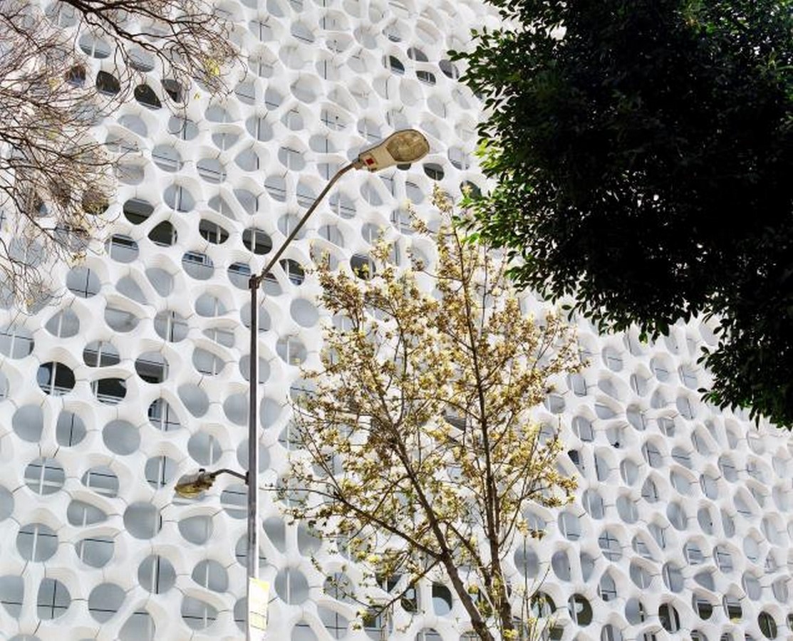 Biophilic Basics An Introduction-Sheet5