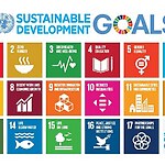 Public spaces Scaling failures and successes-Sheet3