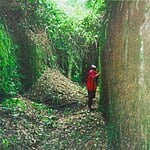 Sungbo’s Eredo, Nigeria-Sheet2