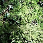 Sungbo’s Eredo, Nigeria-Sheet4