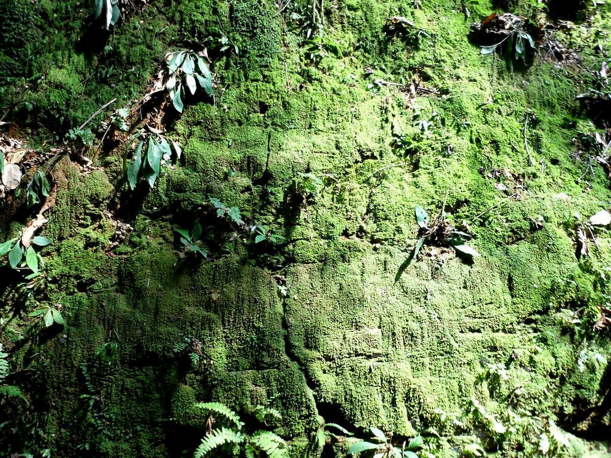 Sungbo’s Eredo, Nigeria-Sheet4