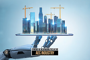 Synergy of Responsibilities in the AEC Industry