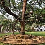 UNESCO World Heritage Sites Santiniketan-Sheet4