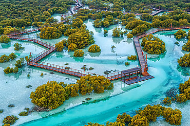 Jubail Mangrove Park, Abu Dhabi