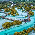 Jubail Mangrove Park, Abu Dhabi-Sheet1