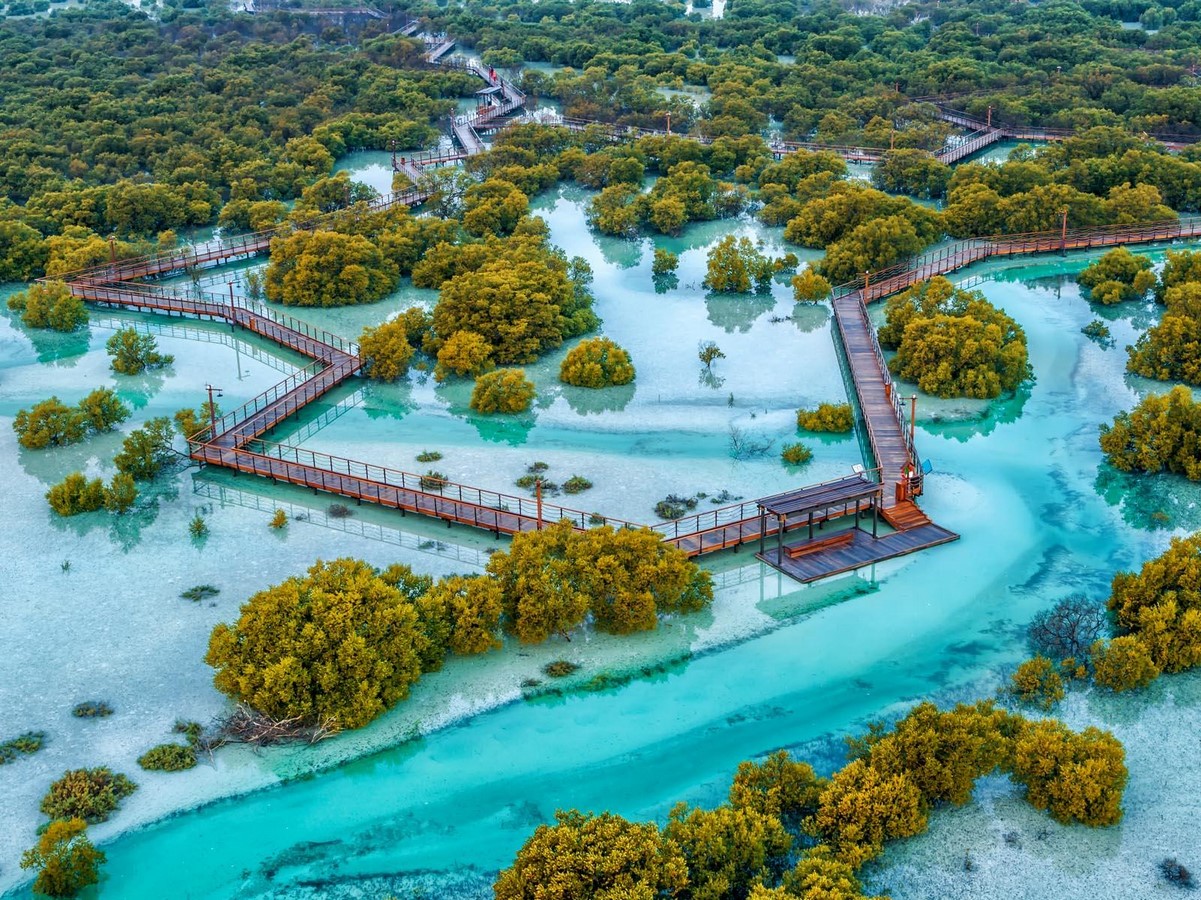 Jubail Mangrove Park, Abu Dhabi-Sheet1