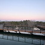 Jubail Mangrove Park, Abu Dhabi-Sheet4