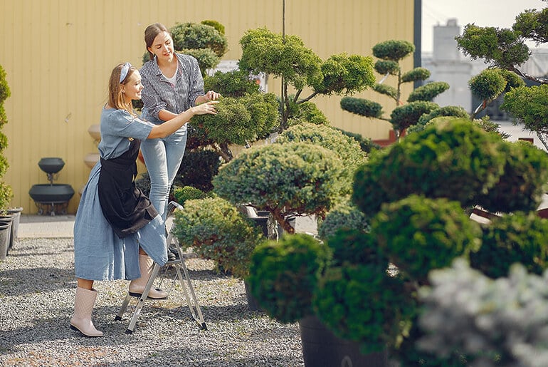 Types of Landscaping That Boost Property Value and Enjoyment