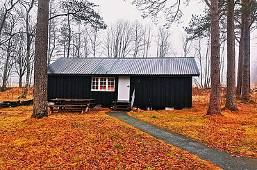 Shipping containers: Adapted for construction use