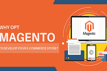 Why Magento Development Services Are Essential for Your Ecommerce Store’s Growth