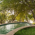 Courtyard by the Water- A nature focused courtyard with a ho-Sheet1