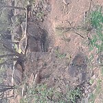 Van Bhoj, Delhi NCR-Sheet6