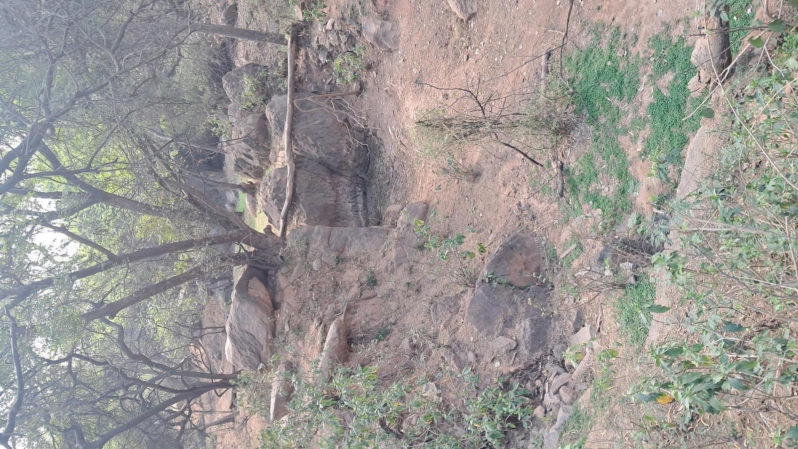 Van Bhoj, Delhi NCR-Sheet6