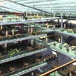 15 Projects to look for in UAE-Sheet17