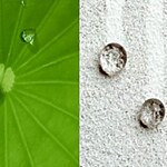 Optimizing Building Envelopes Through Biomimicry and Generative Design A Digital Approach-Sheet3