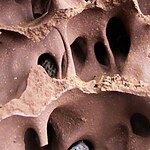 Optimizing Building Envelopes Through Biomimicry and Generative Design A Digital Approach-Sheet4